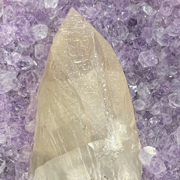 Meet your Posher - Picture 1 of 1